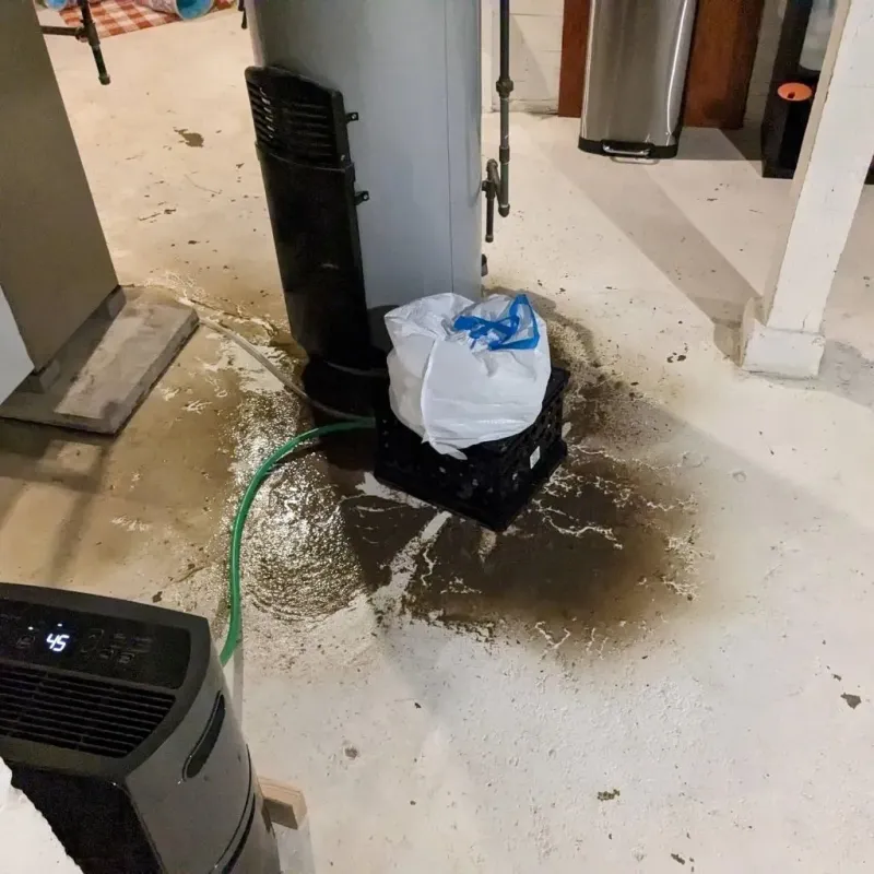 Sewage Backup Cleanup Service in Bald Knob, AR